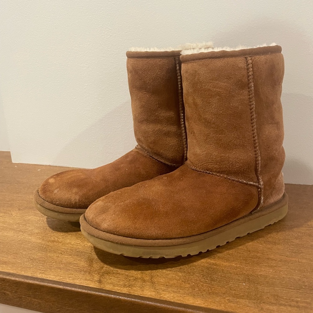 Classic short II chestnut Uggs